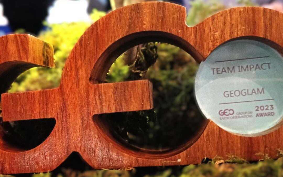GEOGLAM Team Impact Award