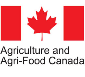 IIASA: International Institute for Applied Systems Analysis