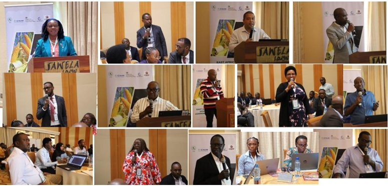 Screenshot_19-9-2024_14487_old.earthobservations.org