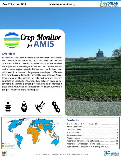 AMIS_CropMonitor_202506