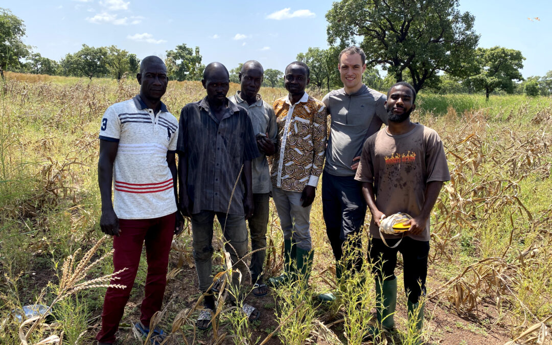 From Partnership to Practice: Advancing Yield Intelligence and Food Security through GEOMAIZE